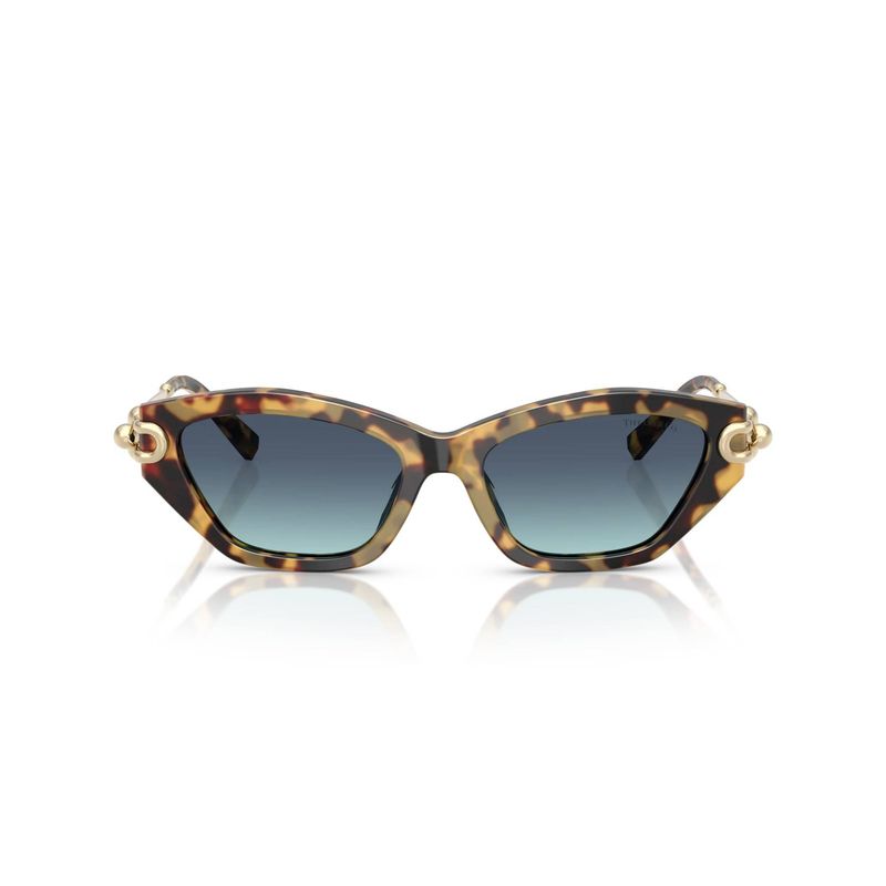 tiffany-4231u-80649s-53-sunglasses-35511-17-B