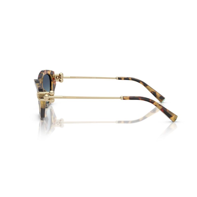 tiffany-4231u-80649s-53-sunglasses-35513-17-B