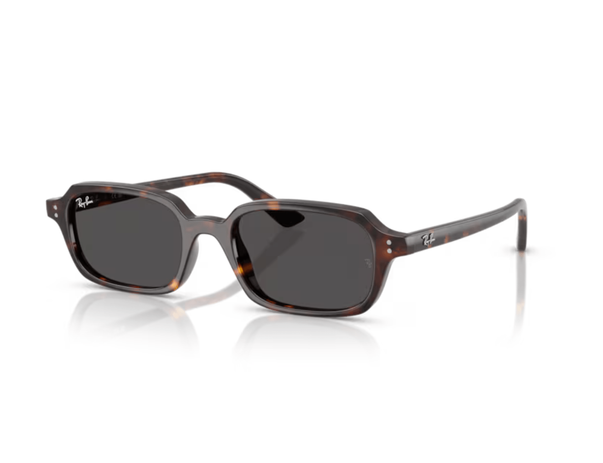 Ray-Ban Zuri 4455 135987