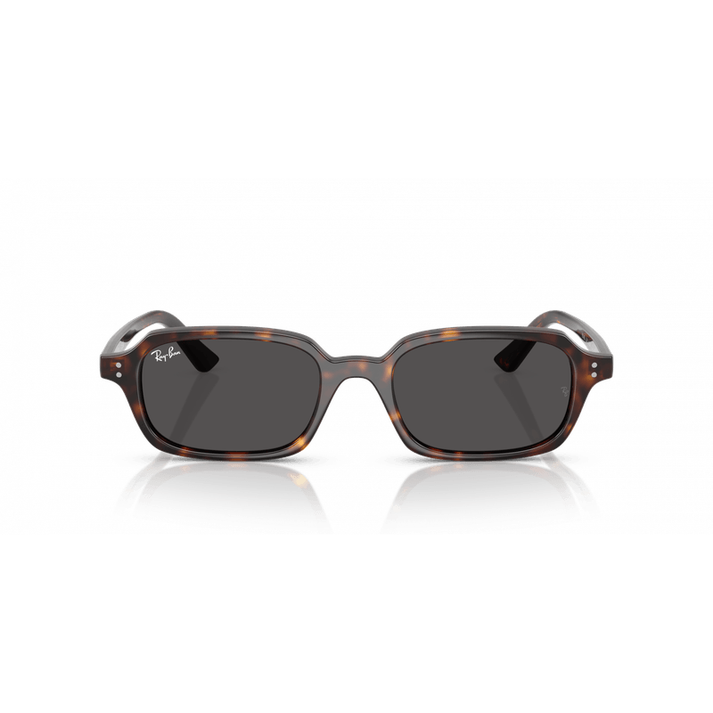 Ray-Ban Zuri 4455 135987