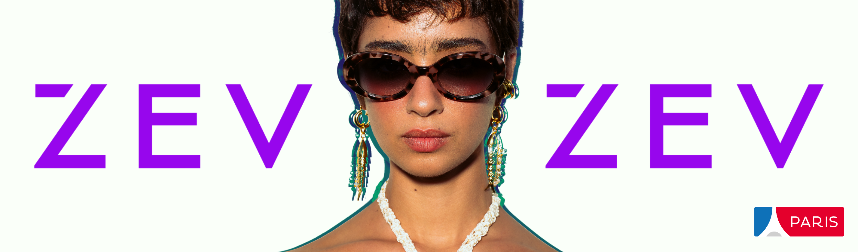 Banner Zev